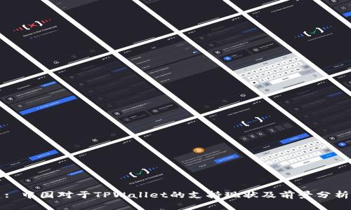 : 中国对于TPWallet的支持现状及前景分析