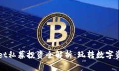 : TPWallet私募投资全解析：