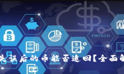 TPWallet转账失误后的币能否追回？全面解析与应对策略