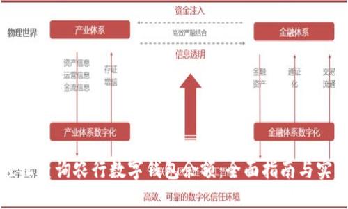如何轻松查询农行数字钱包余额：全面指南与实用技巧