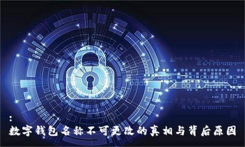 :
数字钱包名称不可更改的真相与背后原因