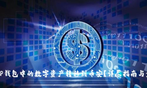 如何将TP钱包中的数字资产转移到币安？详尽指南与步骤分析