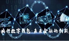 深入探索BAC蕊央行数字钱