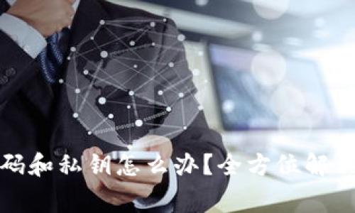 tpwallet忘记密码和私钥怎么办？全方位解决方案及注意事项