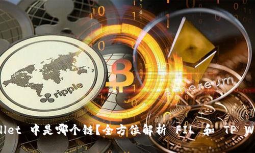 FIL 在 TP Wallet 中是哪个链？全方位解析 FIL 和 TP Wallet 的兼容性