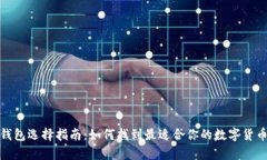 数字资产钱包选择指南：