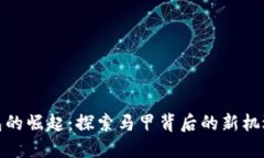 数字钱包的崛起：探索马