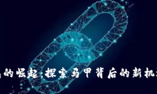 数字钱包的崛起：探索马甲背后的新机遇与挑战