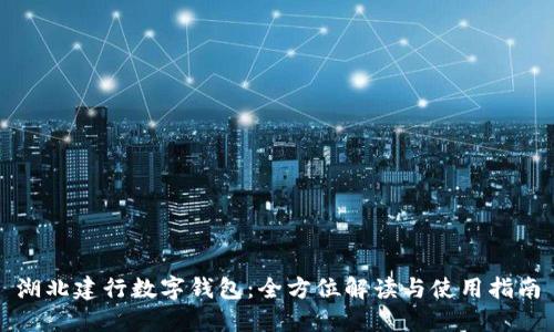 湖北建行数字钱包：全方位解读与使用指南