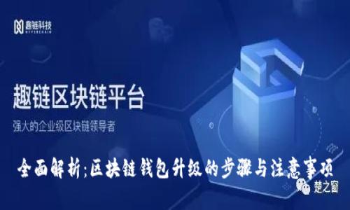 全面解析：区块链钱包升级的步骤与注意事项