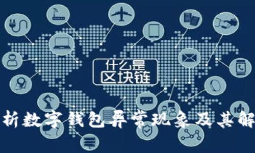 全面解析数字钱包异常现象及其解决方案