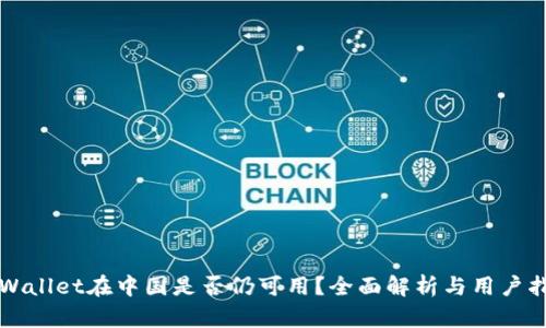 TPWallet在中国是否仍可用？全面解析与用户指南