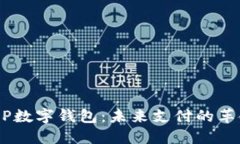 全面解读DCEP数字钱包：未