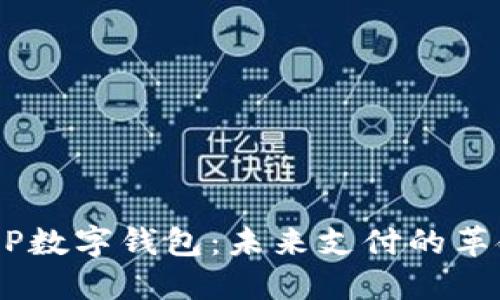 全面解读DCEP数字钱包：未来支付的革命性解决方案