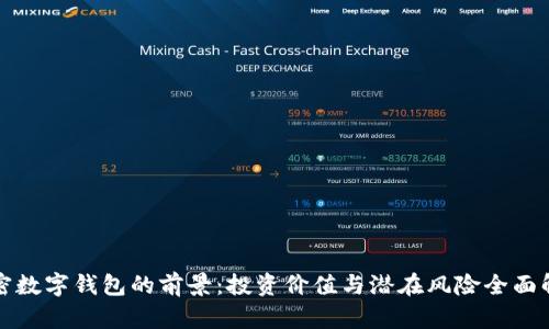 加密数字钱包的前景：投资价值与潜在风险全面解析