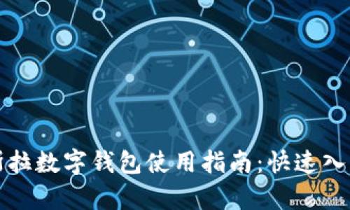 全面解析特斯拉数字钱包使用指南：快速入门与实用技巧