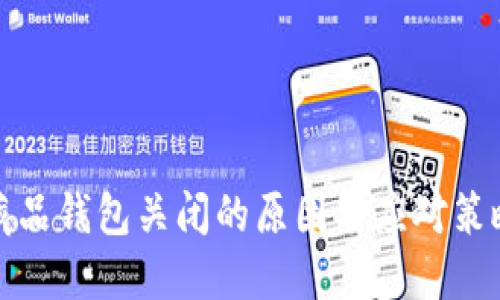 数字藏品钱包关闭的原因及应对策略详解