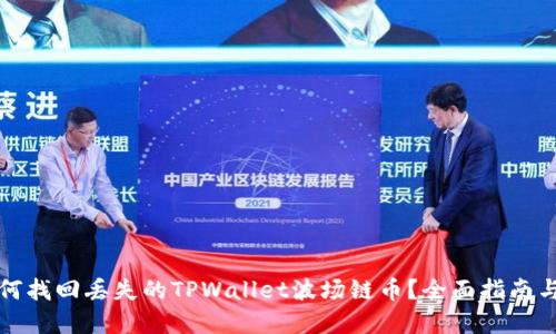 Title: 如何找回丢失的TPWallet波场链币？全面指南与解决方案