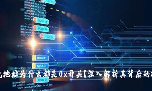 区块链钱包地址为什么都是0x开头？深入解析其背后的技术与意义