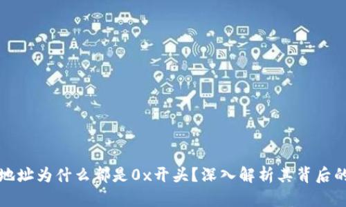 区块链钱包地址为什么都是0x开头？深入解析其背后的技术与意义