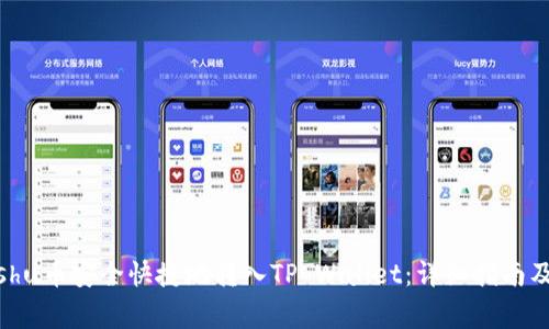 如何将Kishu币安全快捷地转入TP Wallet：详细指南及注意事项