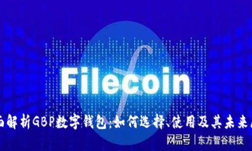 全面解析GBP数字钱包：如何选择、使用及其未来展望