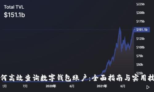 如何高效查询数字钱包账户：全面指南与实用技巧