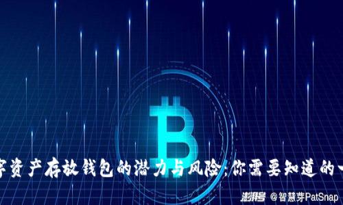 数字资产存放钱包的潜力与风险：你需要知道的一切