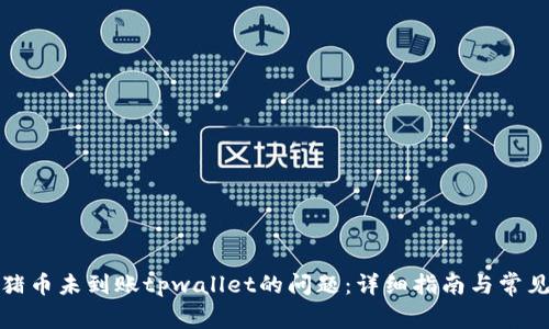 如何解决猪币未到账tpwallet的问题：详细指南与常见疑问解答