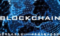 数字钱包无法充值5000的原