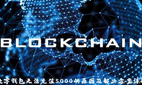 
数字钱包无法充值5000的原因及解决方案详解
