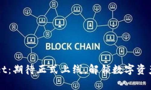 TPWallet：期待正式上线，解锁数字资产新篇章