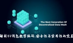 深度解析BV钱包数字编码：