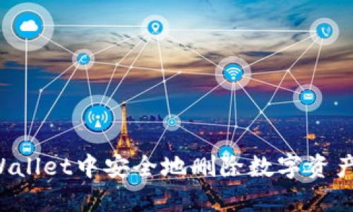 如何在TPWallet中安全地删除数字资产？全面指南