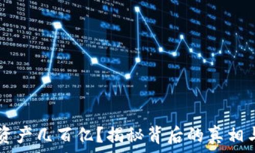   
TPWallet资产几百亿？揭秘背后的真相与冷静分析