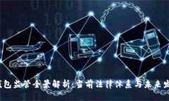  数字钱包监管全景解析：
