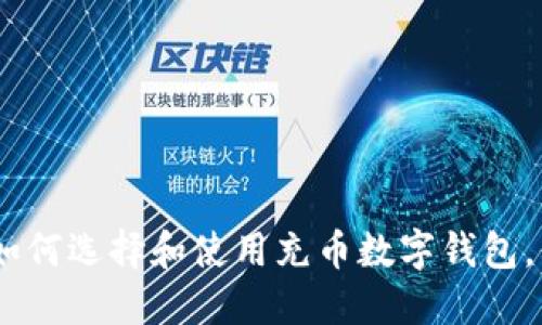 数字钱包的崛起：如何选择和使用充币数字钱包，保障你的资产安全