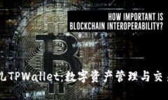 深入了解菲儿TPWallet：数字