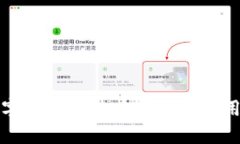 探索俄罗斯数字钱包的未