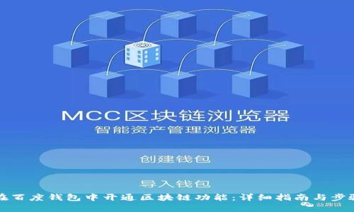 如何在百度钱包中开通区块链功能：详细指南与步骤解析