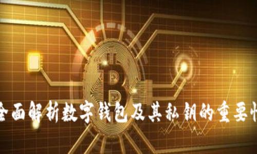 全面解析数字钱包及其私钥的重要性
