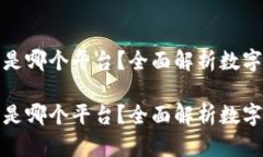 数字钱包号是哪个平台？