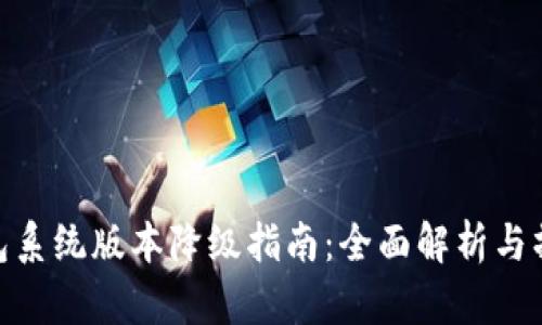 数字钱包系统版本降级指南：全面解析与操作步骤