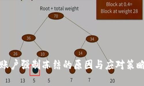 数字钱包账户强制冻结的原因与应对策略全面解析