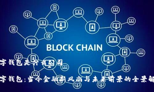 数字钱包是什么公司

数字钱包：当今金融新风尚与未来前景的全景解析