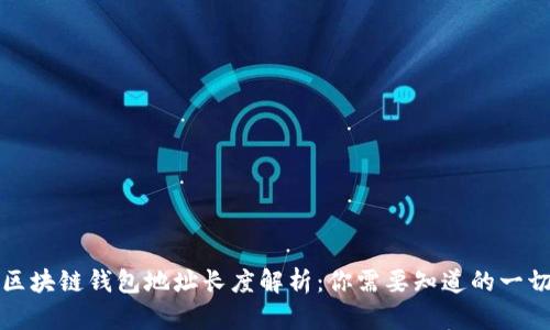 区块链钱包地址长度解析：你需要知道的一切