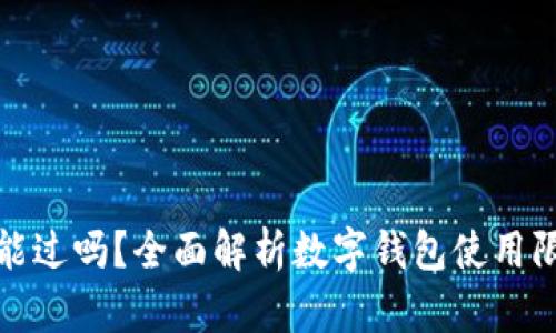 数字钱包黑户能过吗？全面解析数字钱包使用限制与解决方案