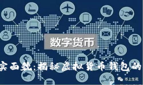  她tpwallet的真实面貌：揭秘虚拟货币钱包的安全性与风险分析