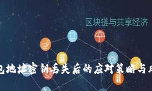 数字钱包地址密钥丢失后的应对策略与风险管理