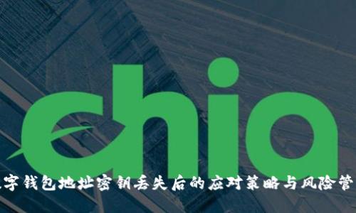 数字钱包地址密钥丢失后的应对策略与风险管理